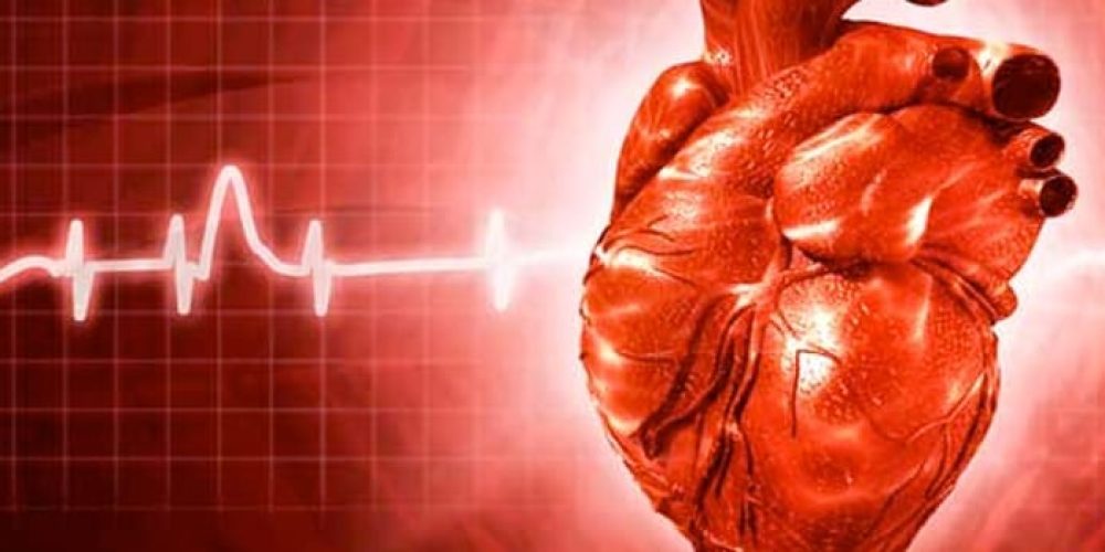 Heart Disease and Dental Hygiene