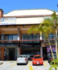 DDS Dental