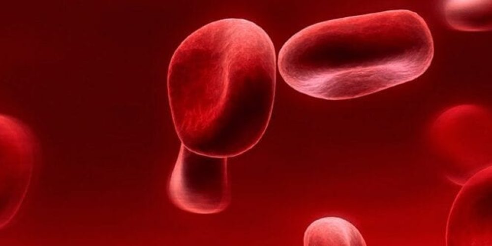 Better Healing with Platelet Therapy